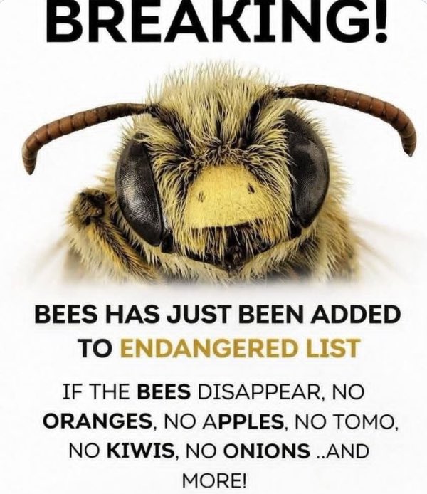 Concerned Citizen tweet media