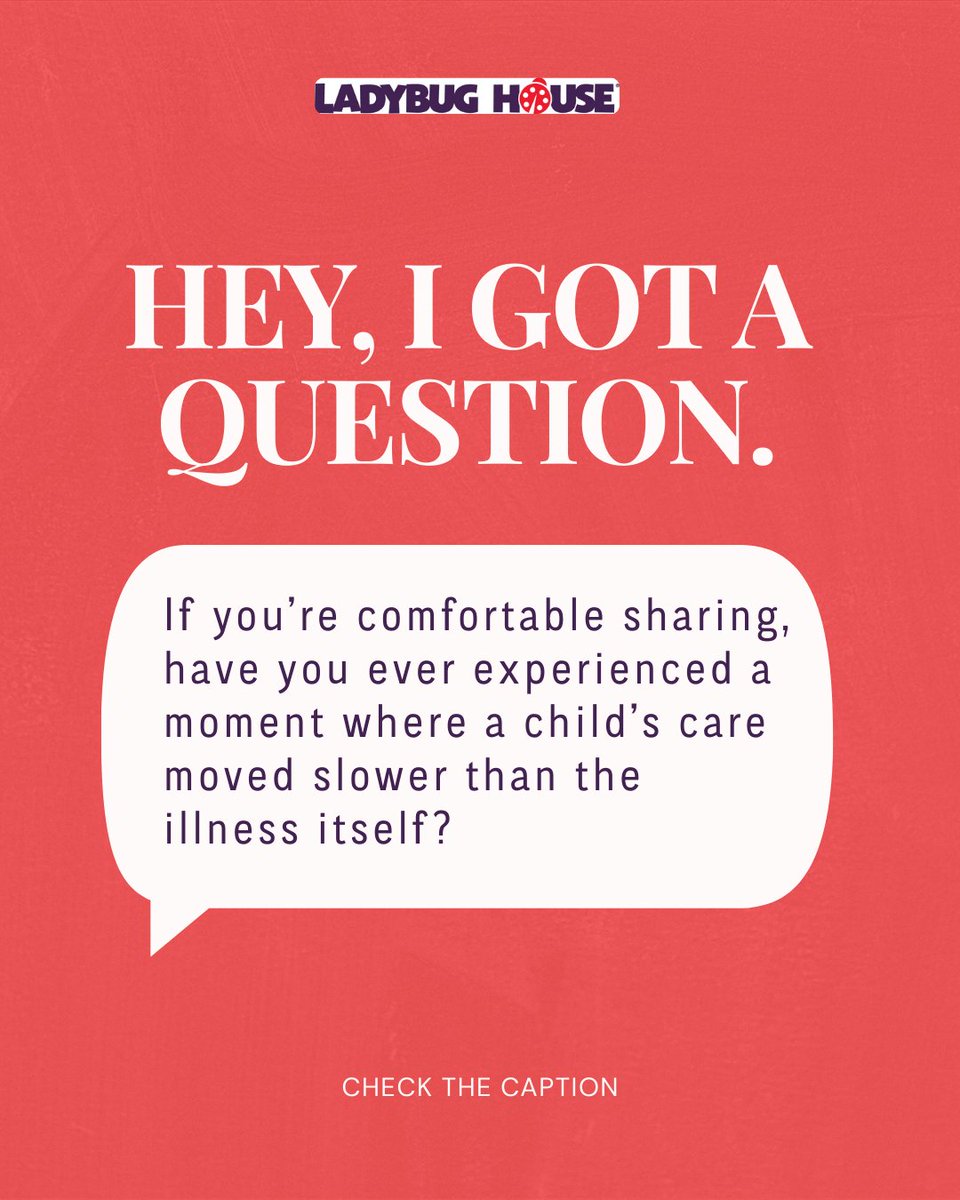 Ladybug House tweet media