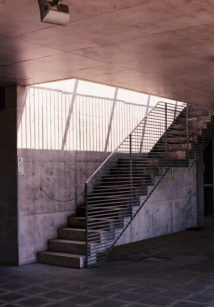 ヒトパーソン tweet media