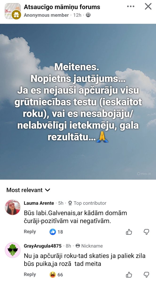 Dāvids Vikmanis tweet media