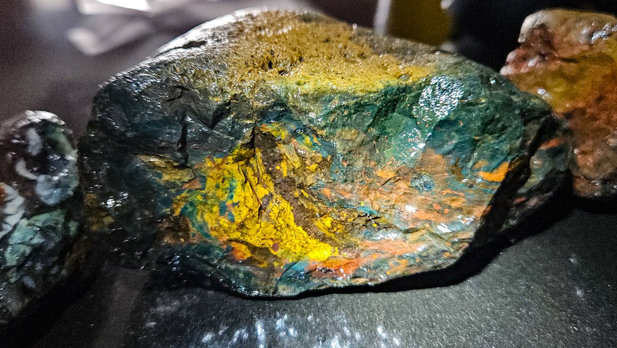 Øystein tweet media