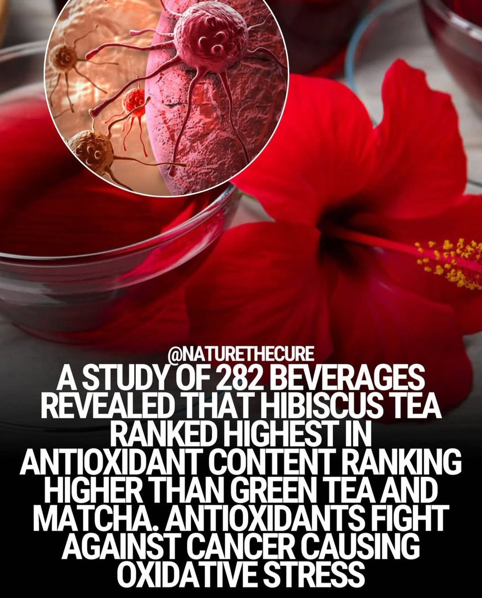 GraceGym_'s tweet photo. 🌺 Hibiscus Tea – A powerful antioxidant drink https://t.co/j4HIBNgo37