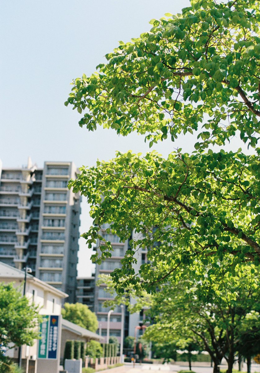 ヒトパーソン tweet media