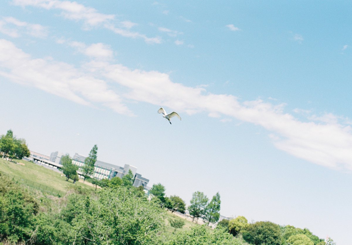 ヒトパーソン tweet media