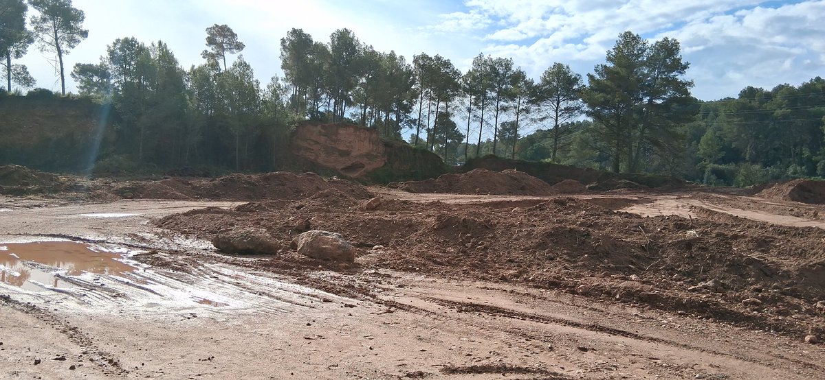 jairoalonso tweet media