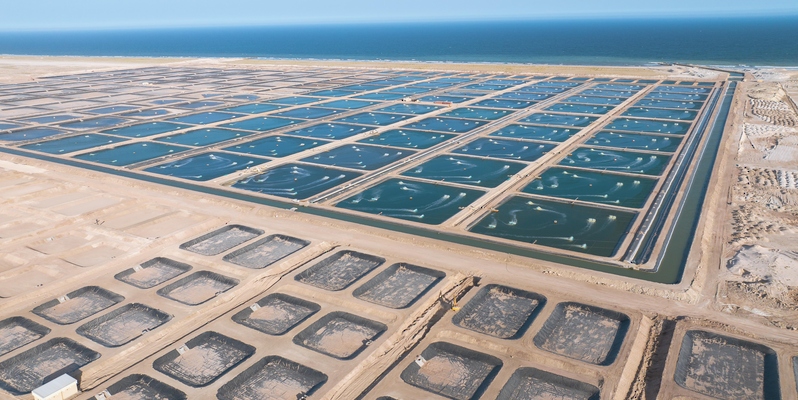 عُمان الـمستقبل tweet media