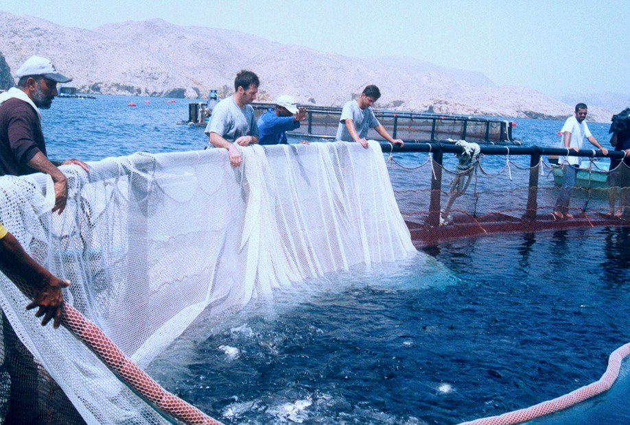 عُمان الـمستقبل tweet media