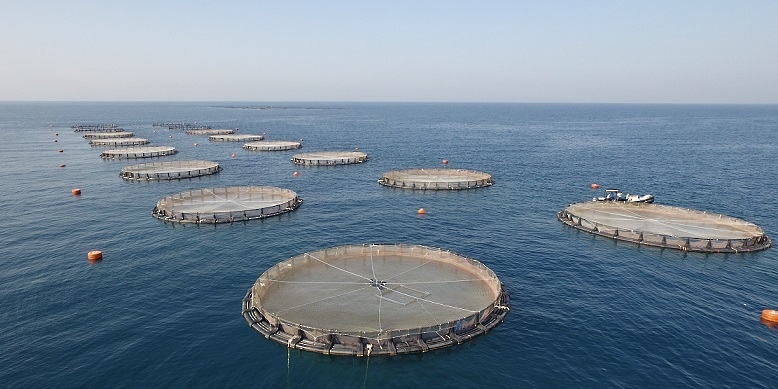 عُمان الـمستقبل tweet media