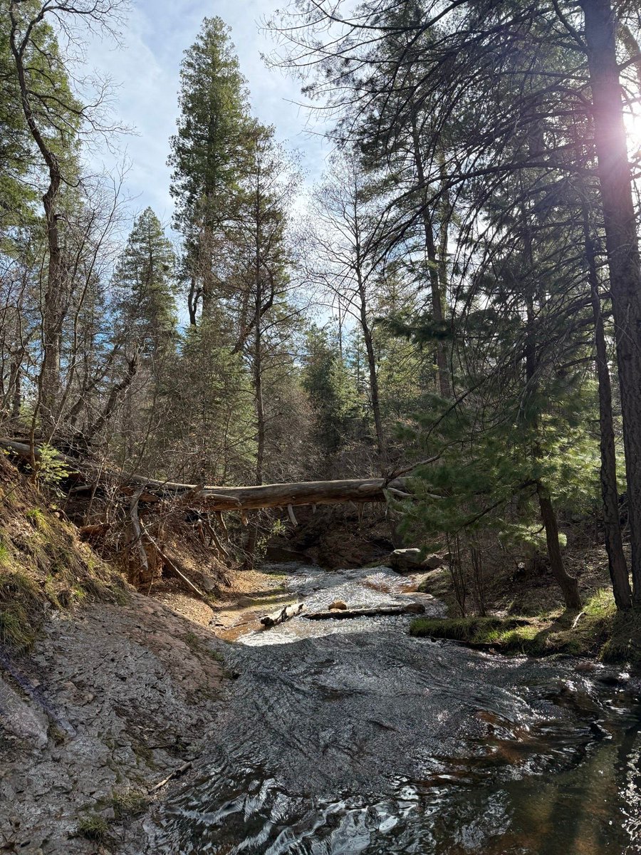 Fastest Known Time tweet media