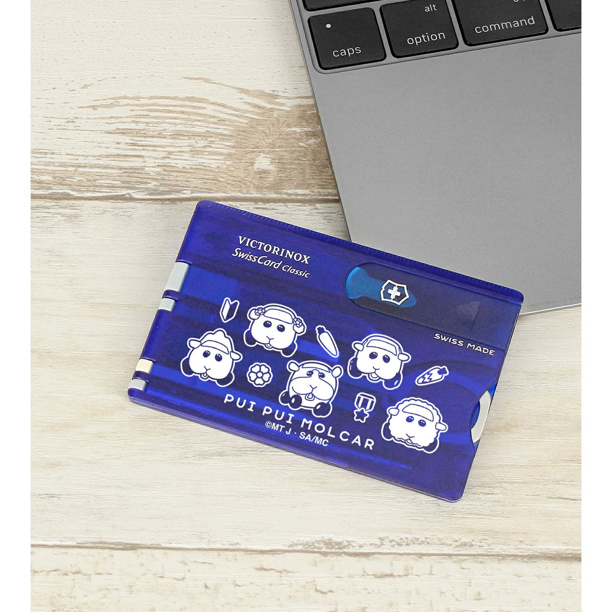 モルカーグッズ紹介bot tweet media