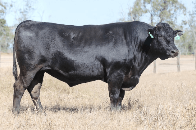 LKL Services tweet media