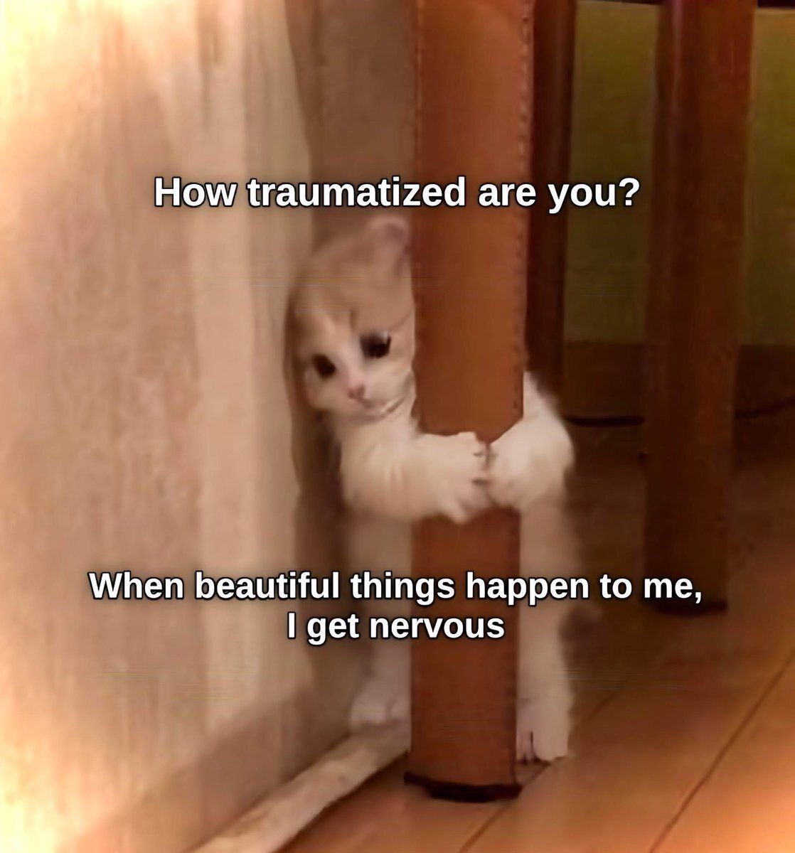 feelings ღ (@eternaltxts) on Twitter photo 