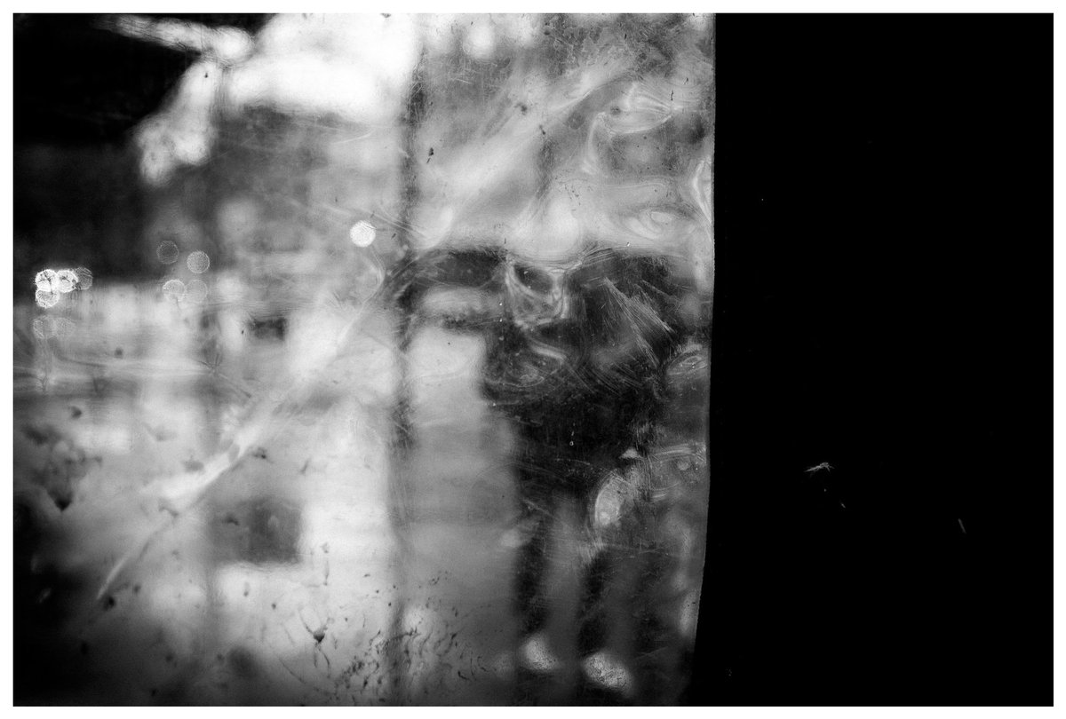 Fallow 🦩 tweet media