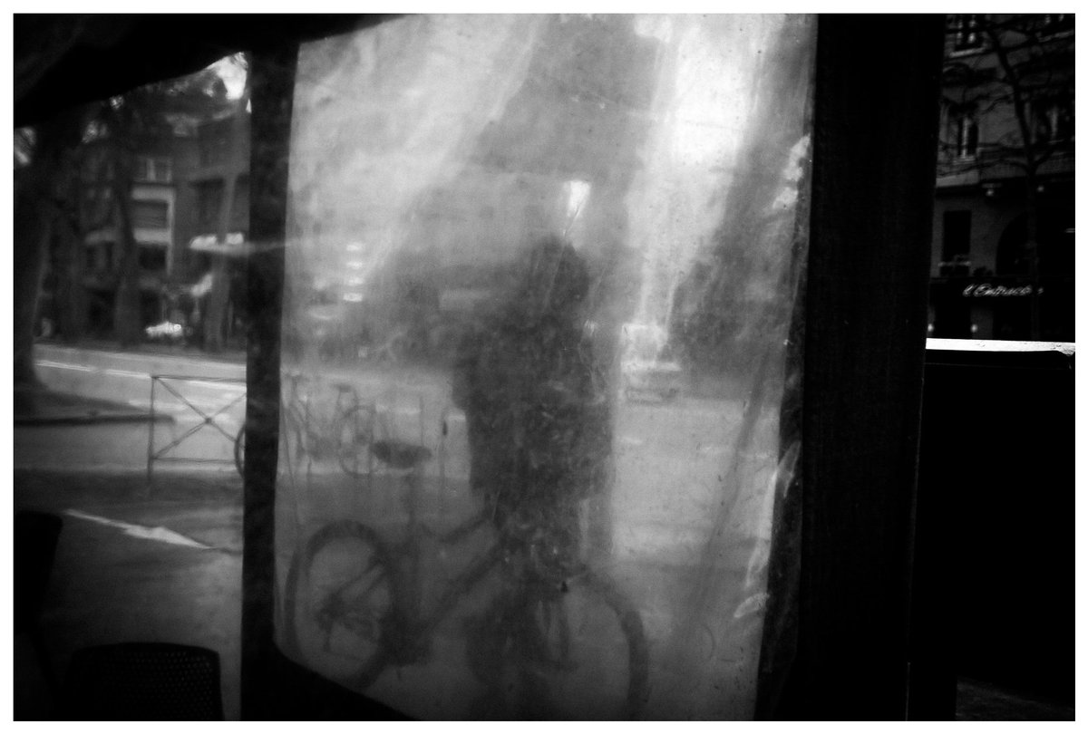 Fallow 🦩 tweet media