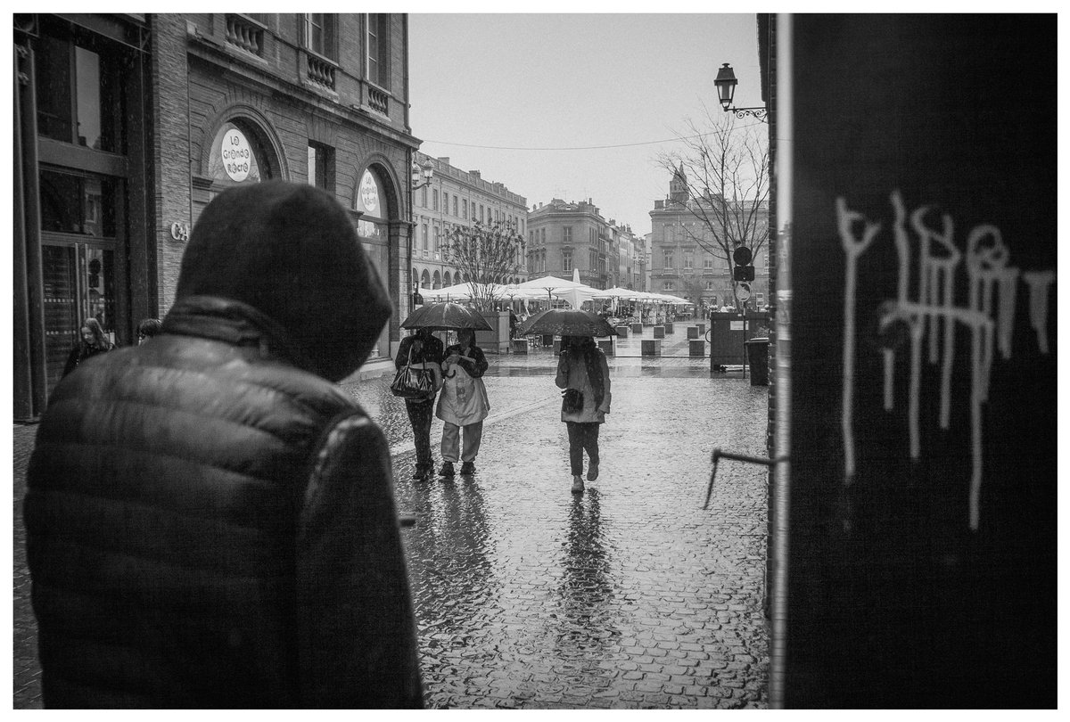 Fallow 🦩 tweet media