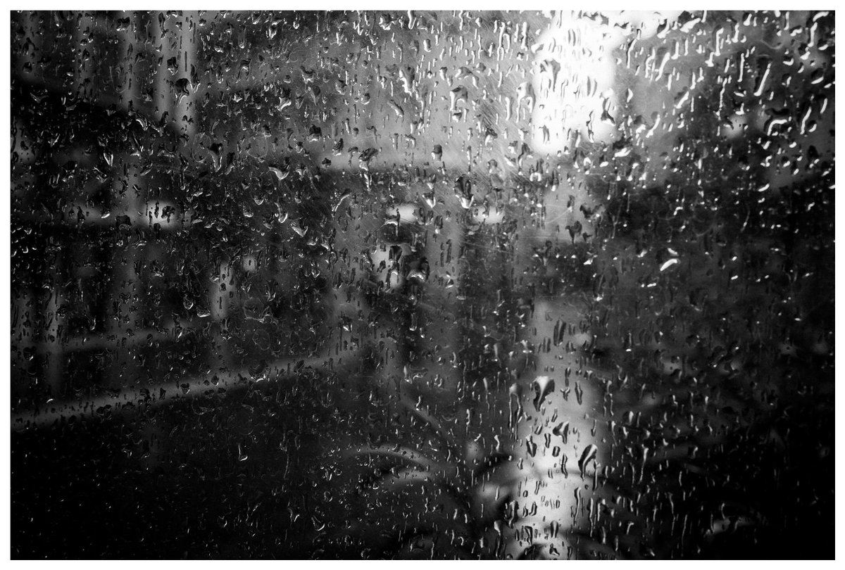 Fallow 🦩 tweet media