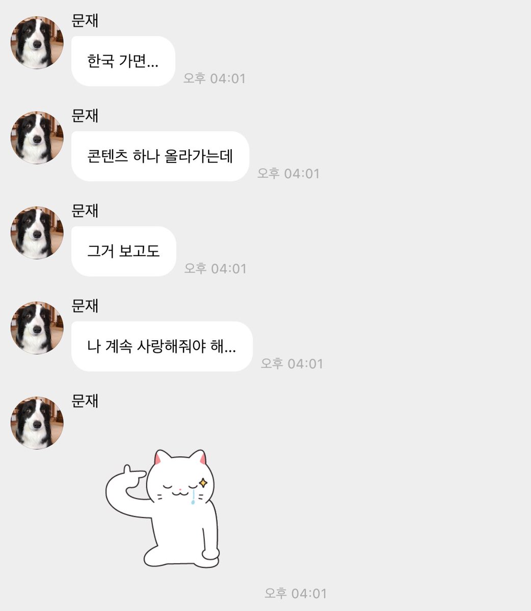 돌돌 tweet media