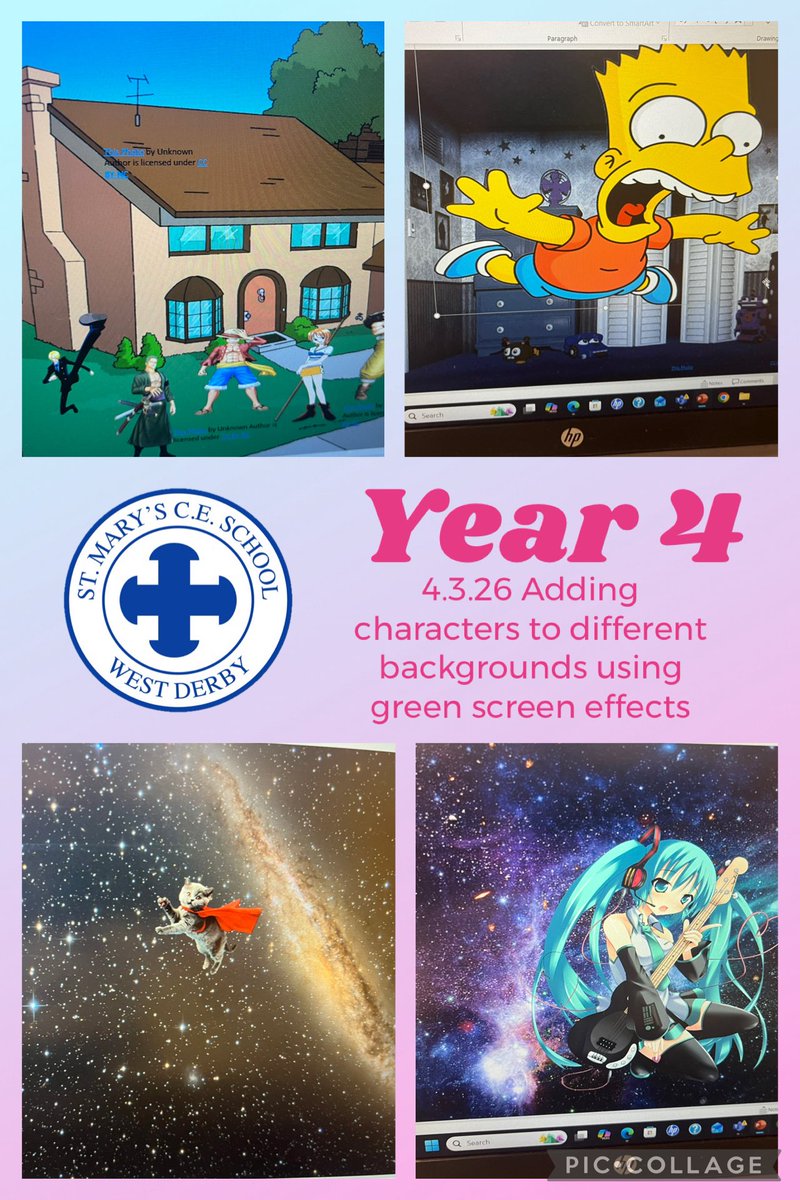 Melissa Shaw tweet media