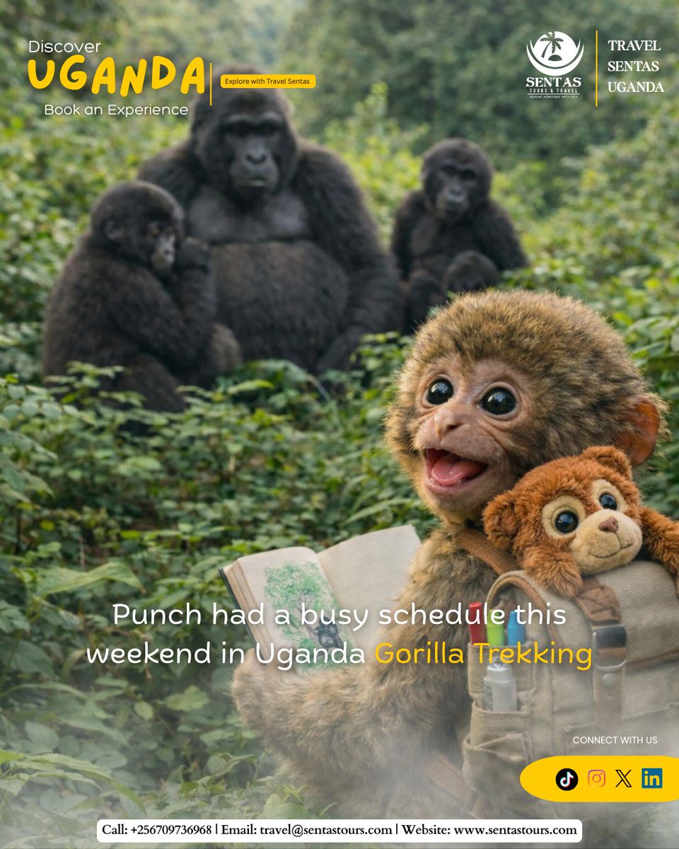 Experiencing the Pearl of Africa 🌍🇺🇬

To book an experience talk to us. Explore with Travel sentas Uganda. 

📌 For Bookings Reach out to us: 
Call +256709736968
Email travel@sentastours.com

#exploreuganda #travelsentasuganda #2026travel #PunchMonkey  #gorillatrekkinguganda