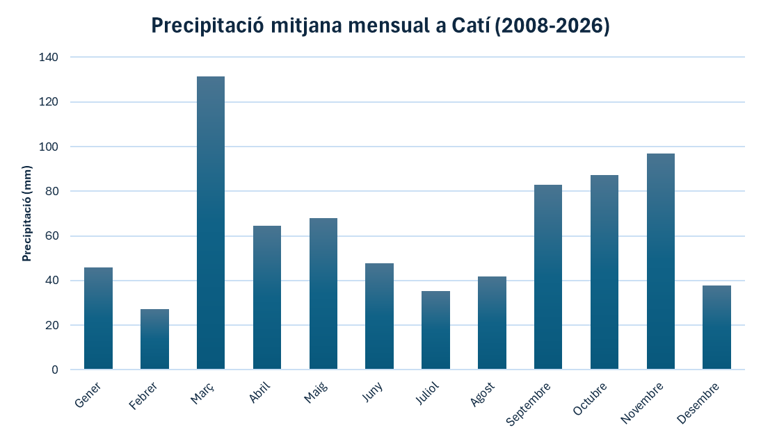 Catimeteo tweet media