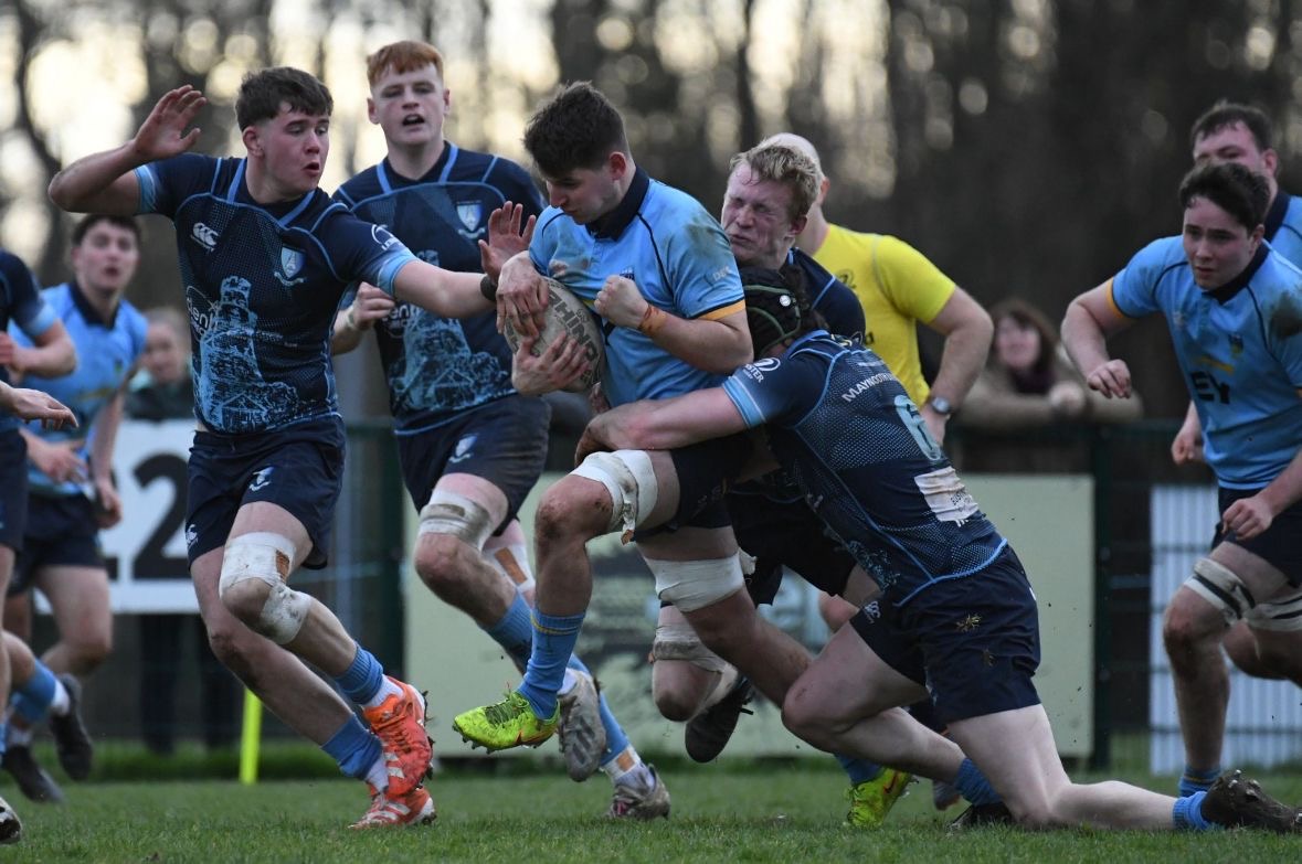 Leinster Domestic tweet media