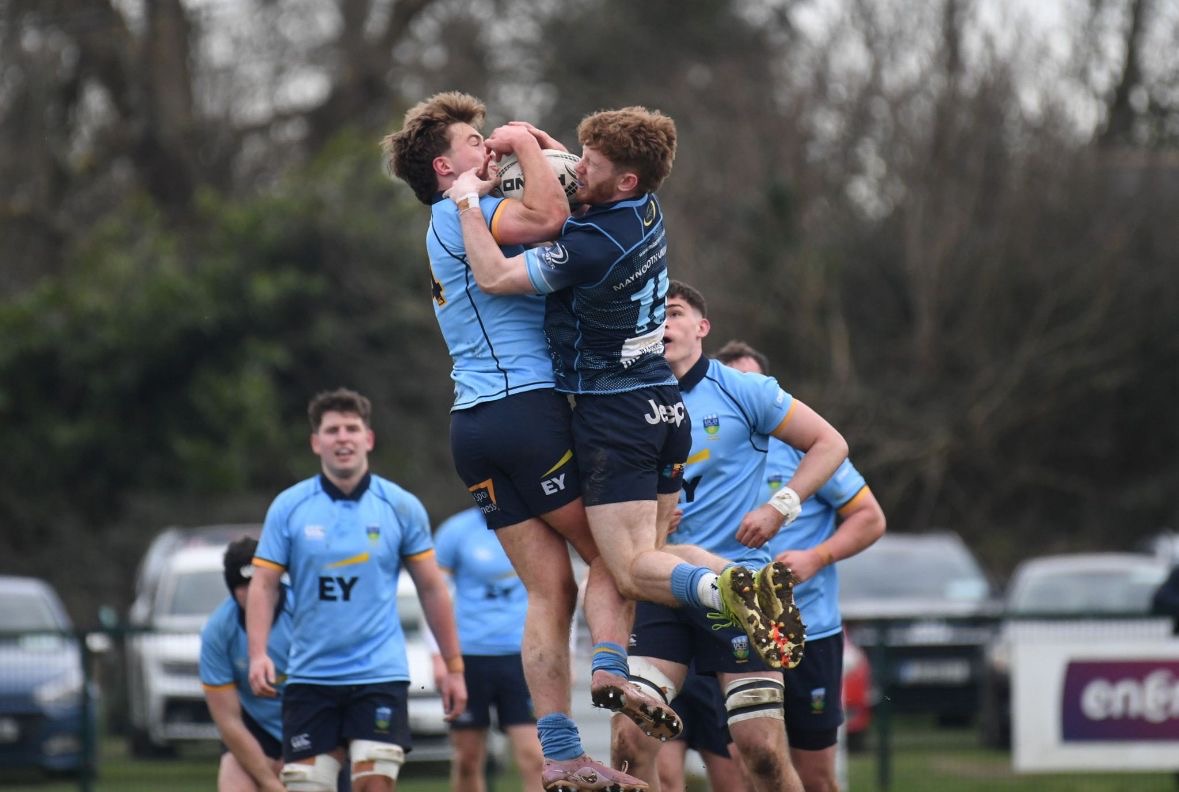 Leinster Domestic tweet media