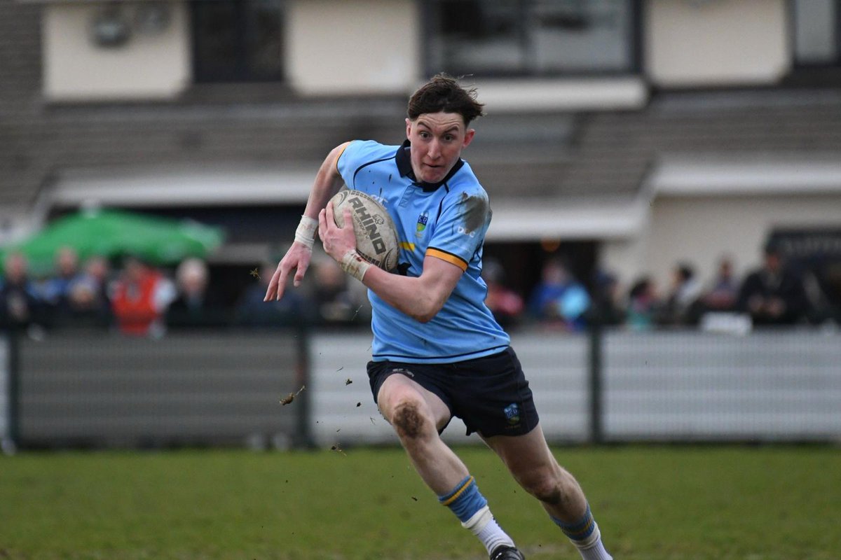 Leinster Domestic tweet media