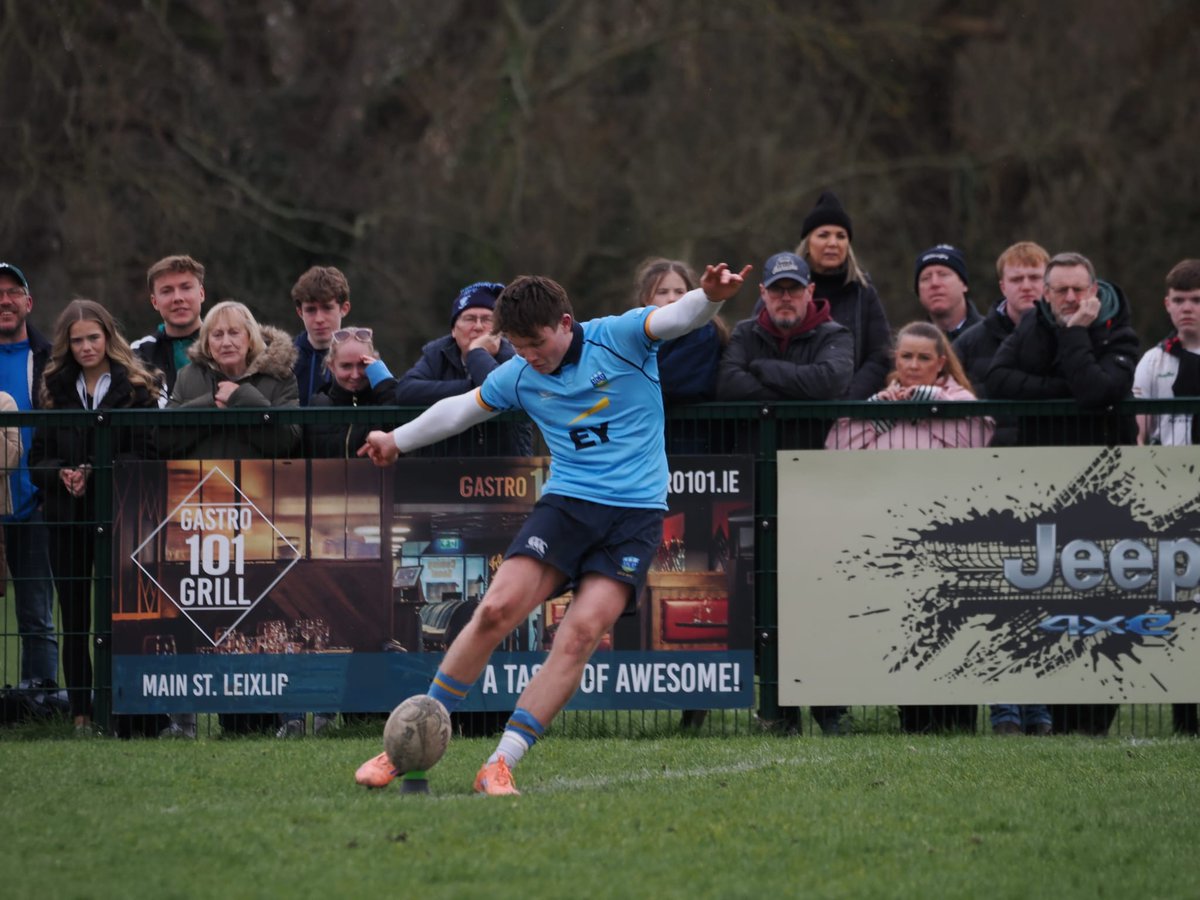 Leinster Domestic tweet media