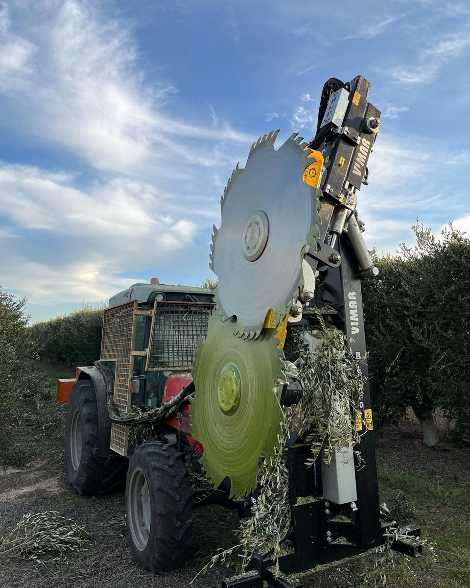 almolive_agro's tweet photo. ➡️ En el olivar #superintensivo una poda bien hecha marca la diferencia entre una buena o mala producción
Realizarla a destiempo, con malas herramientas o con una mala técnica puede suponer grandes riesgos a la salud a corto y largo plazo de los árboles

https://t.co/MT2SV2x6vm https://t.co/C9Zl1PN88g