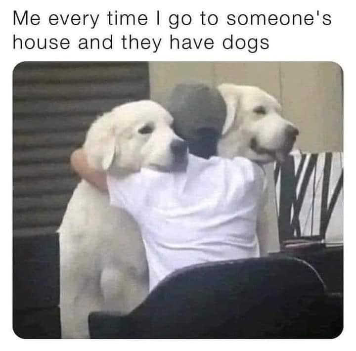 WholesomeMeme tweet picture