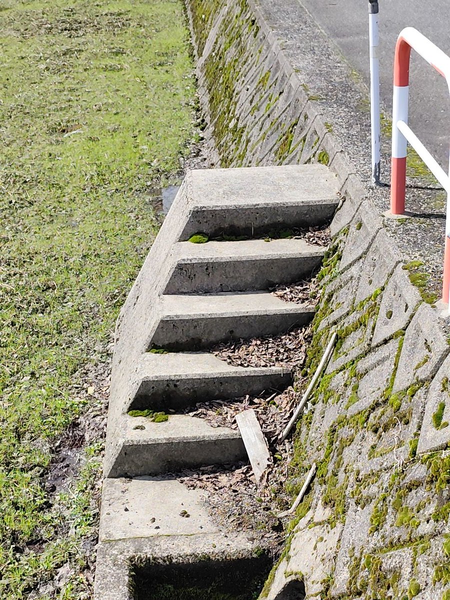 RAPID/廃回 tweet media