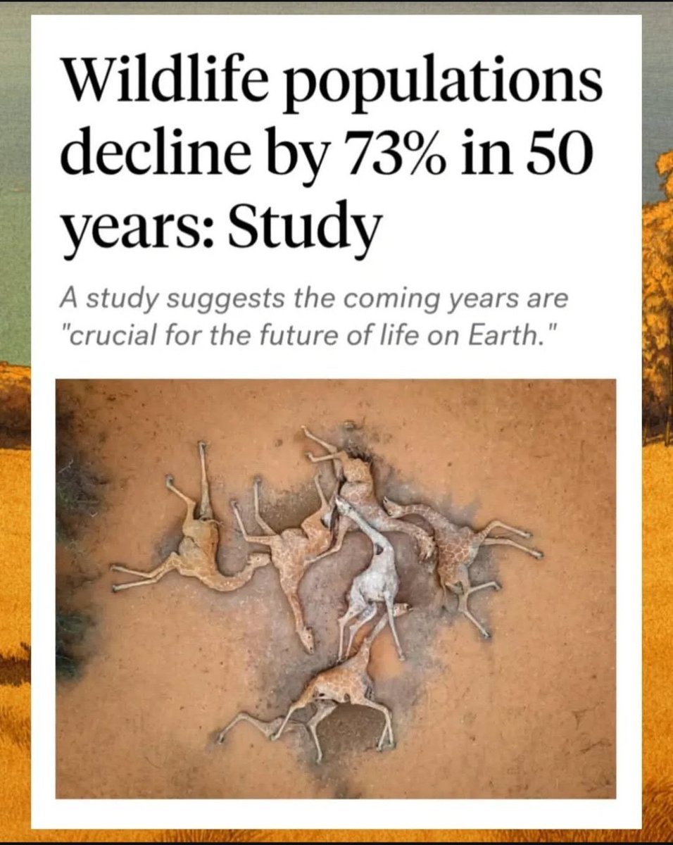 Climate Dad tweet media