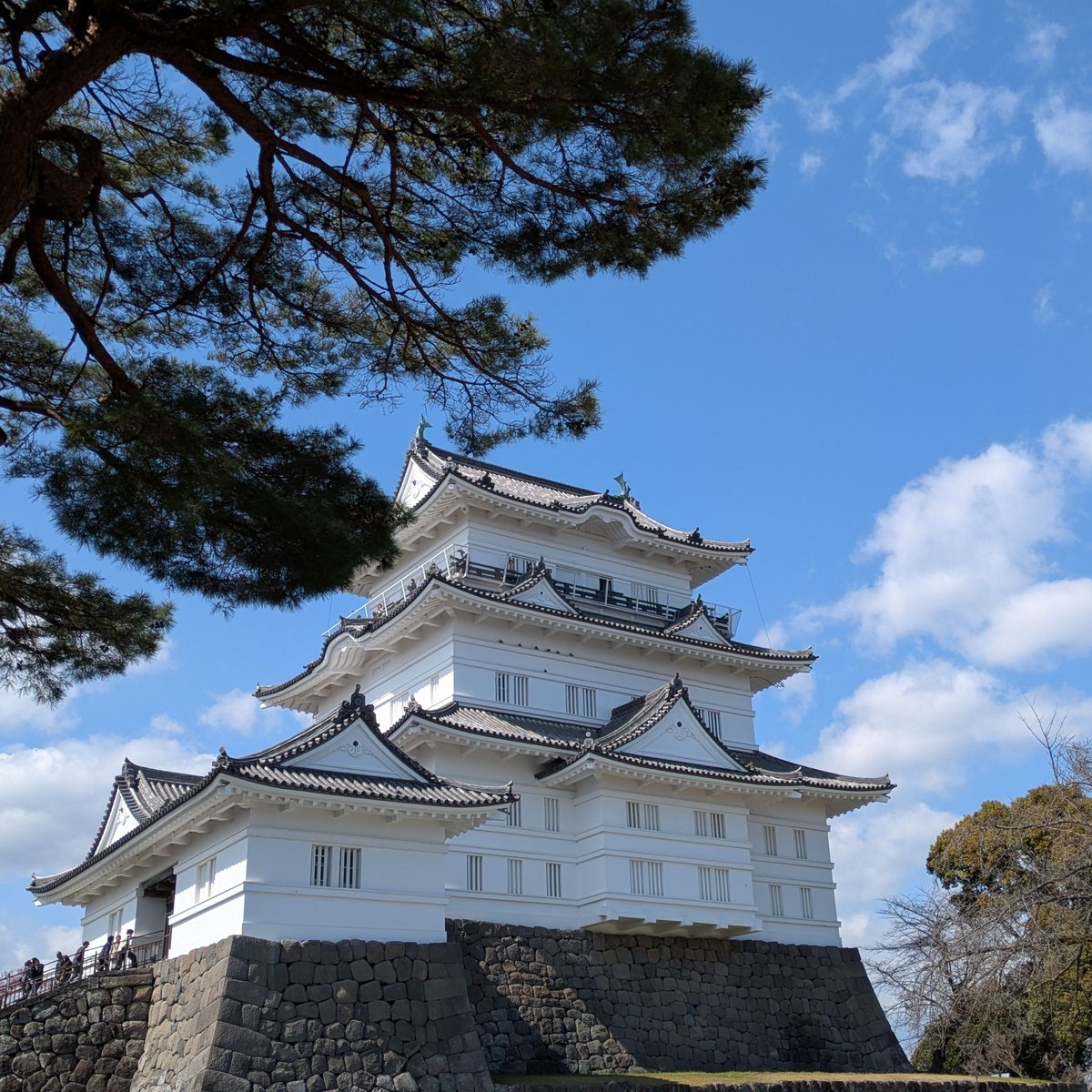 小田原城址公園に行ってきました☺️
お天気良くて暖かくて
青空に綺麗に映えていました🏯✨
風魔忍者も有名🥷

お掘りの周りの桜🌸見たいなぁ