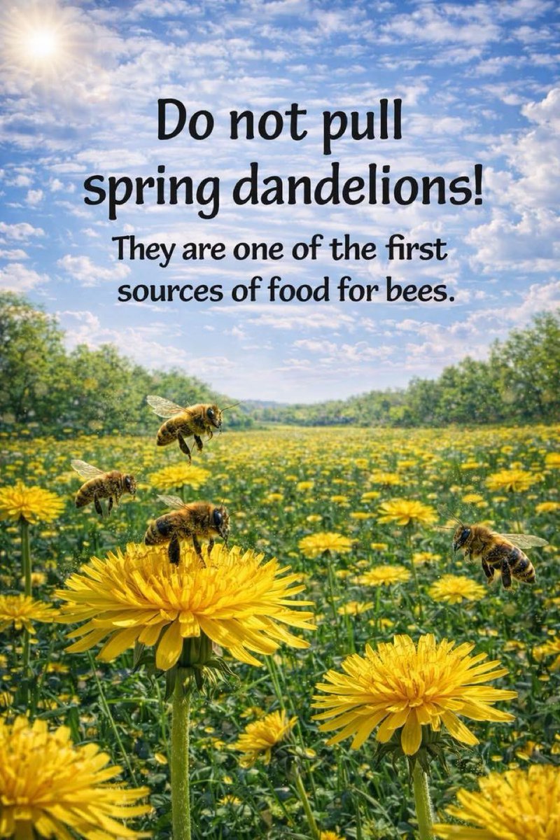 De Faunabescherming tweet media