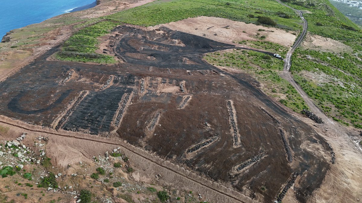 Medio Ambiente Lanzarote tweet media