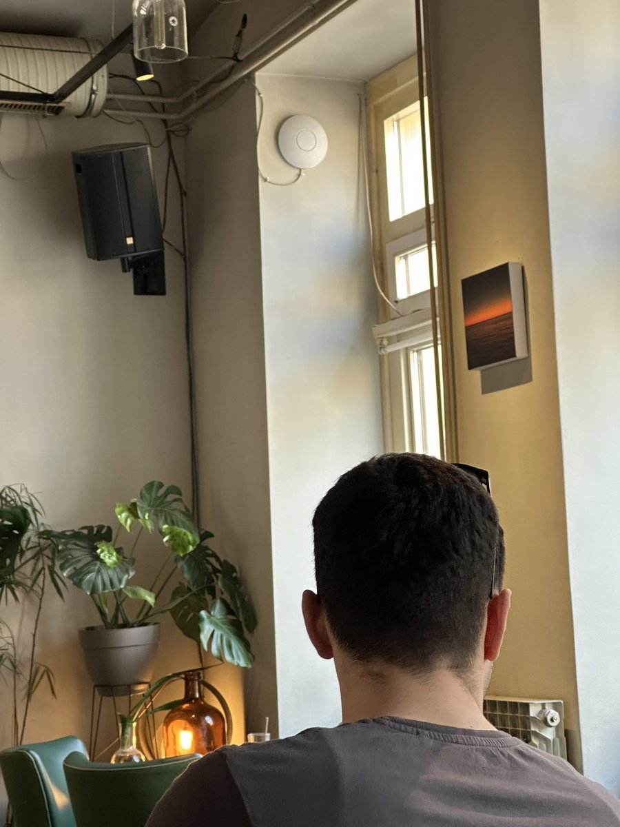 Daniel Bachmann tweet media