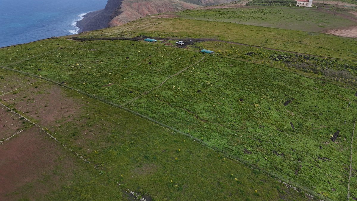 Medio Ambiente Lanzarote tweet media