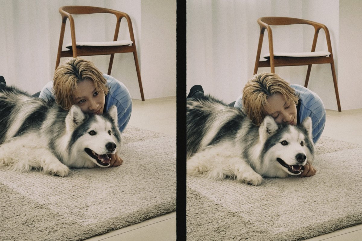 📚掲載情報📚

3/15(日)発売「月刊わんこ vol.28」に
#HIROTO がシベリアン・ハスキーのアポロくんと
登場しています🐺❤️‍🔥

可愛すぎるショットが沢山なので
是非GETしてください！

◆販売スケジュール
3/9日(月)19時〜
オフィシャルサイトにて先行販売開始
通常版：gekkanwanko.kawaiishop.jp/items/137341736
Special