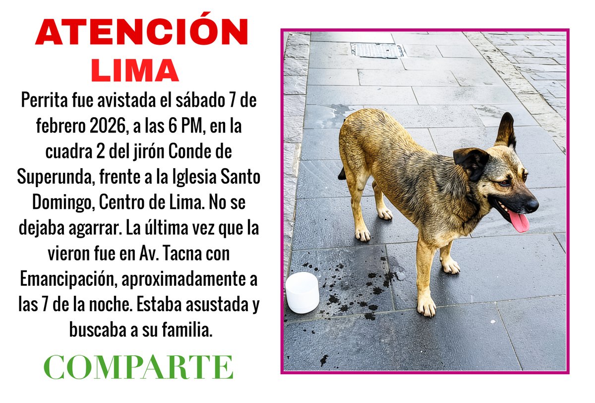 ALCE Perú🐸🐶🐱🐰🐯🐣🐮🐷🐳🐵🐢 tweet media