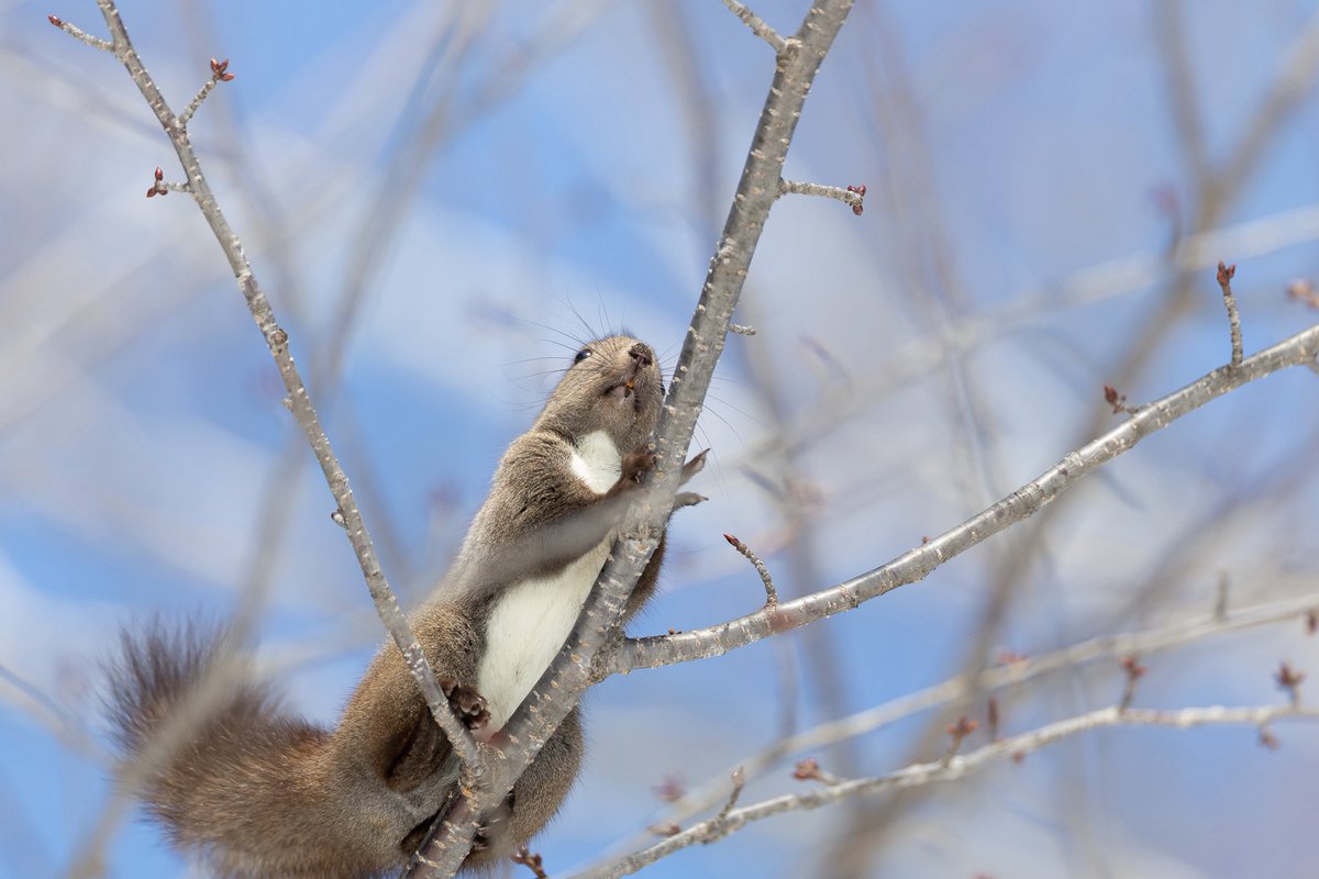 らうと tweet media