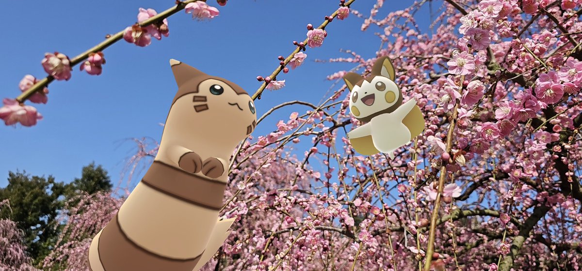 Jusco@PokemonGO tweet media