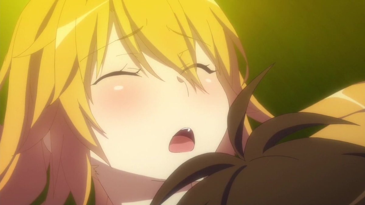 Thomas Jobgen tweet media