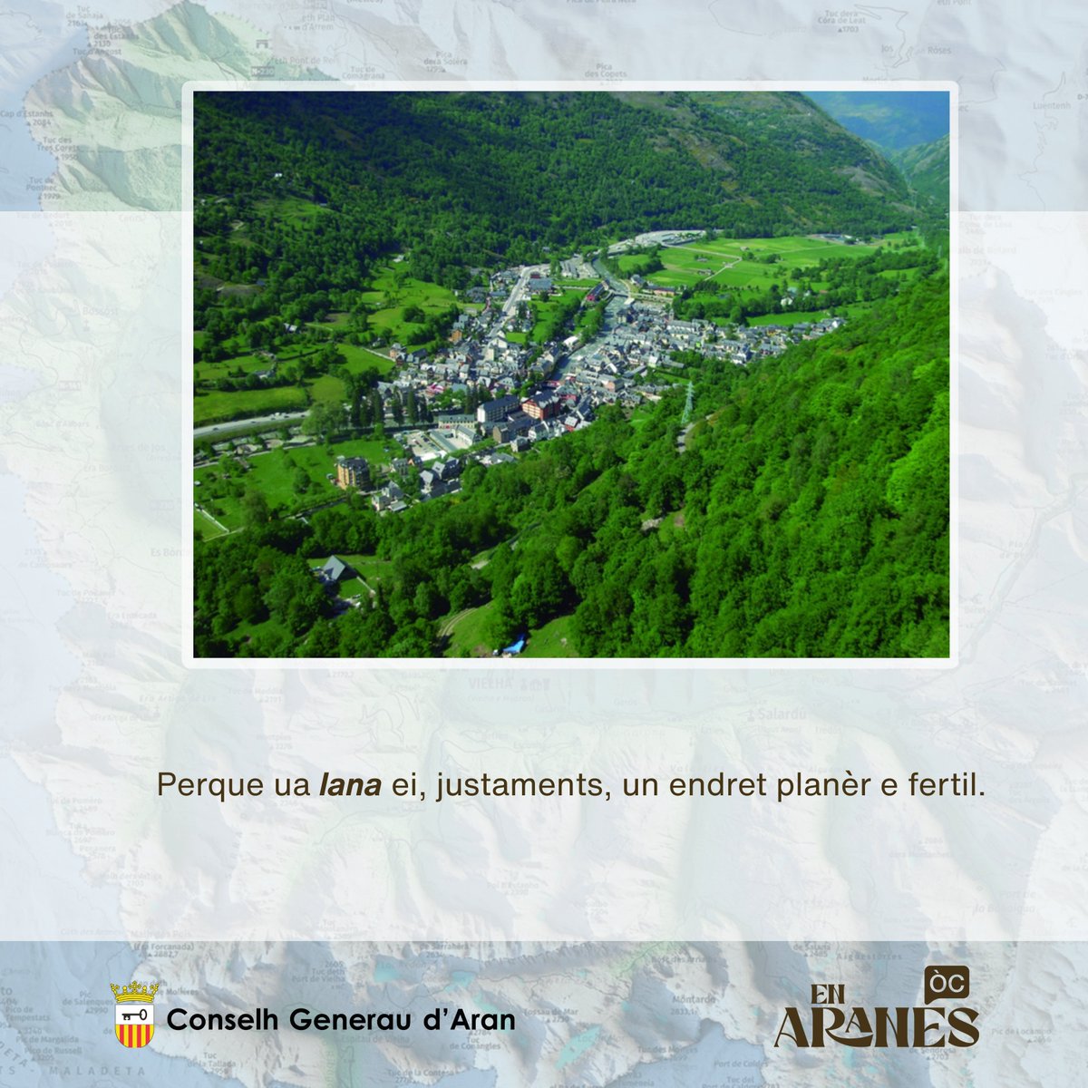 En Aranés tweet media