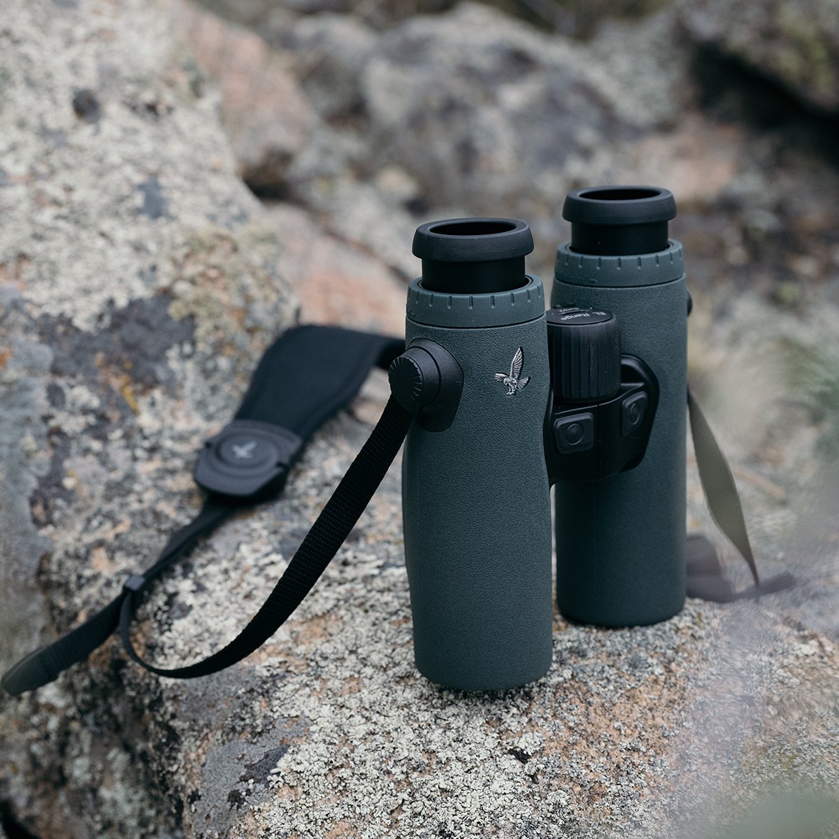 South West Optics tweet media