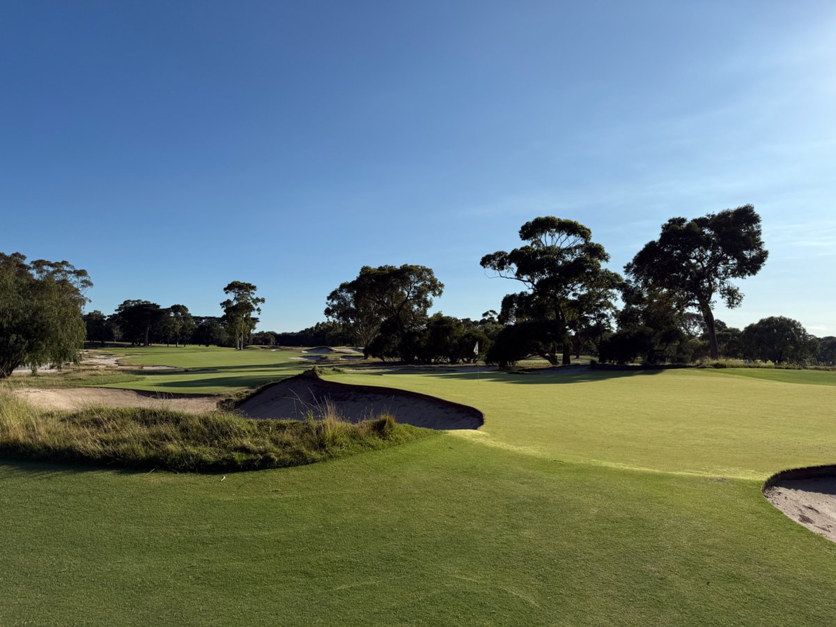 Rick Golfs tweet media