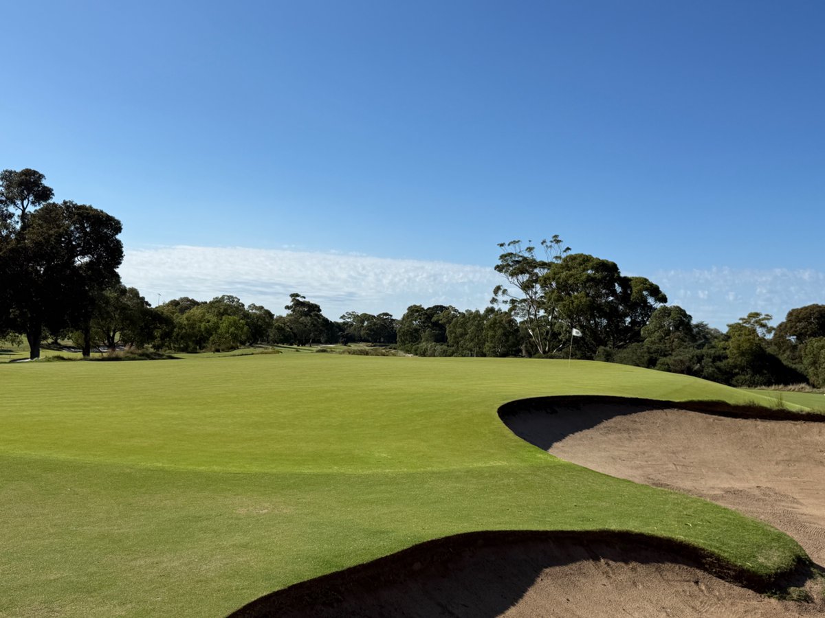 Rick Golfs tweet media