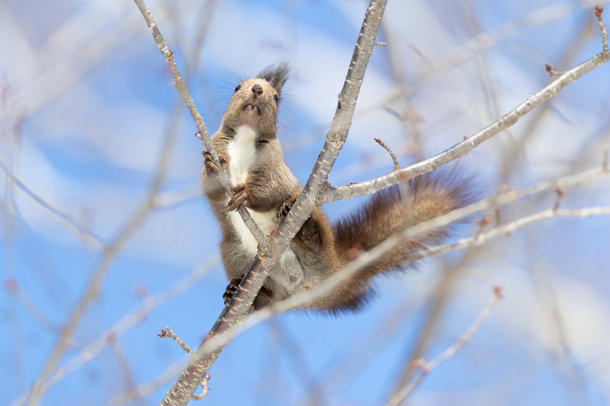 らうと tweet media