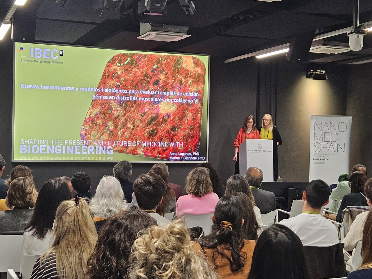 NanomedSpain tweet media