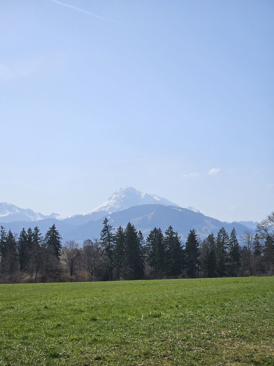 Nemo ❄ tweet media