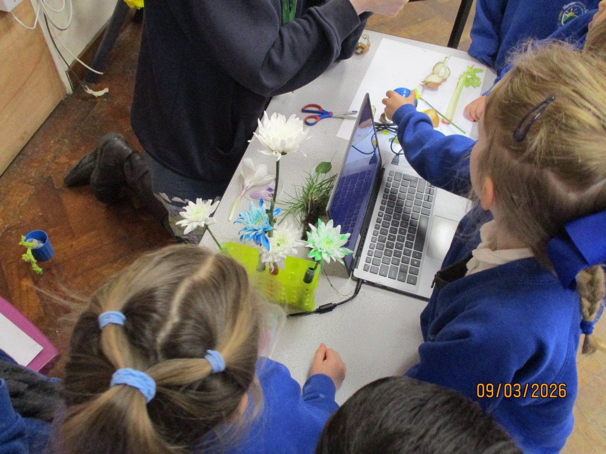 Menston Primary tweet media